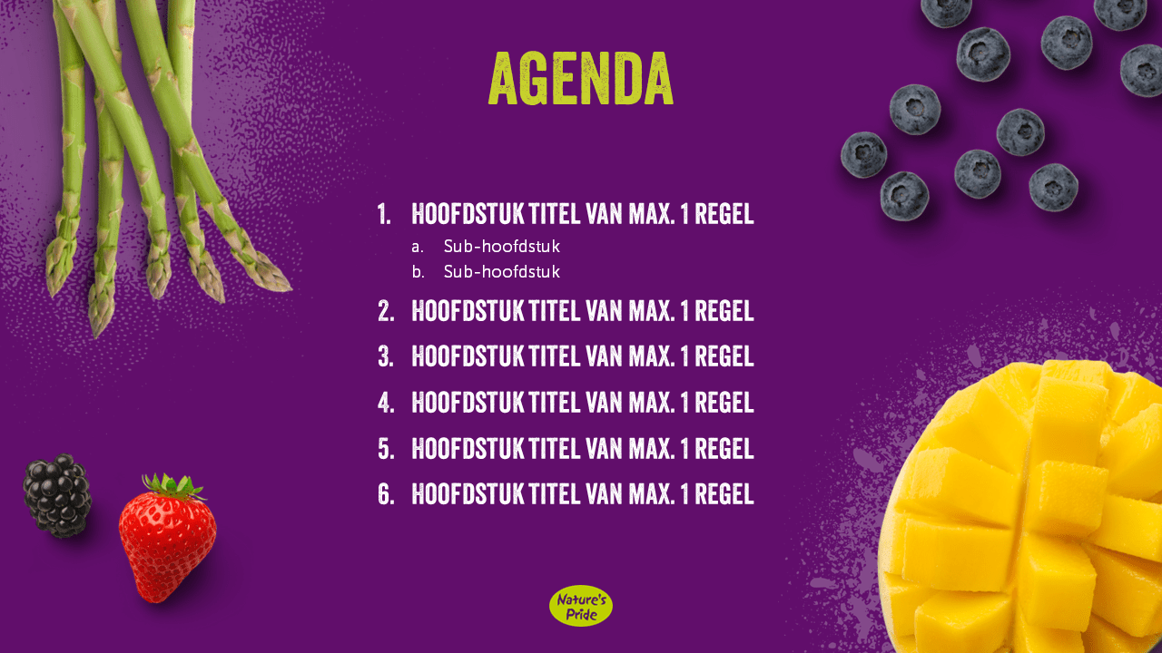 Slidebuilder - Agenda slide